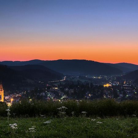 Drei Tannen - Wohnung 11 - Apartmenthaus, Titisee, Feldberg Экстерьер фото