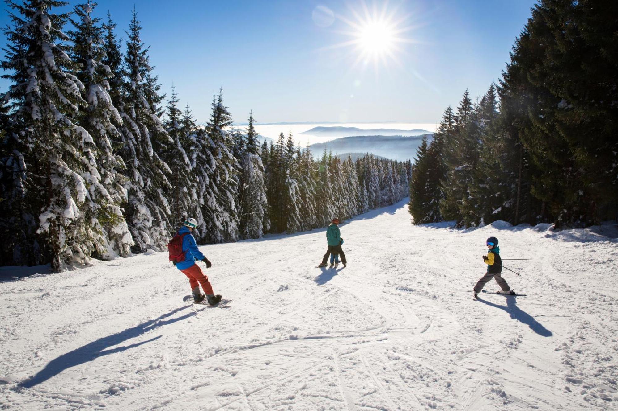 Drei Tannen - Wohnung 11 - Apartmenthaus, Titisee, Feldberg Экстерьер фото