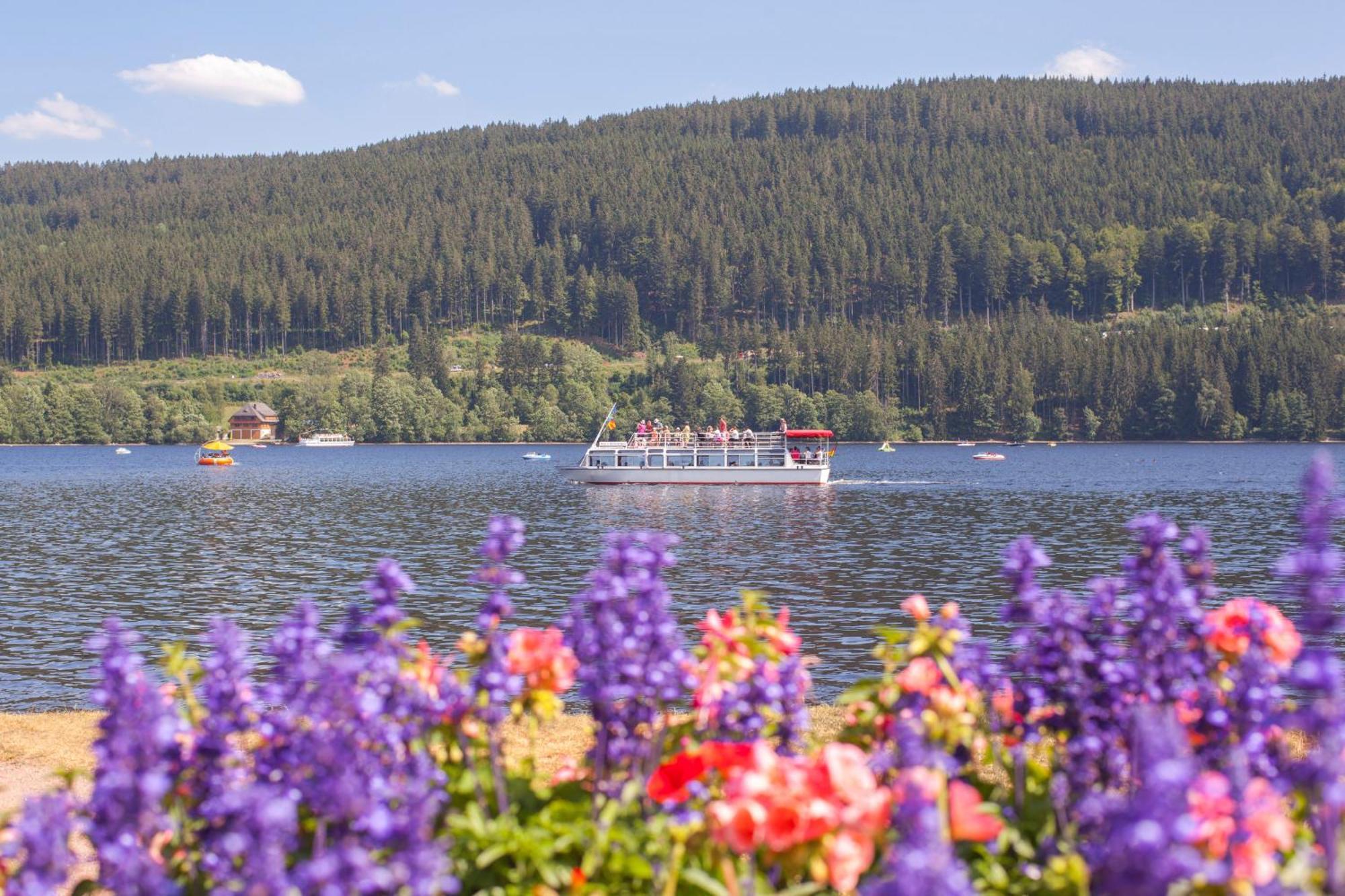 Drei Tannen - Wohnung 11 - Apartmenthaus, Titisee, Feldberg Экстерьер фото