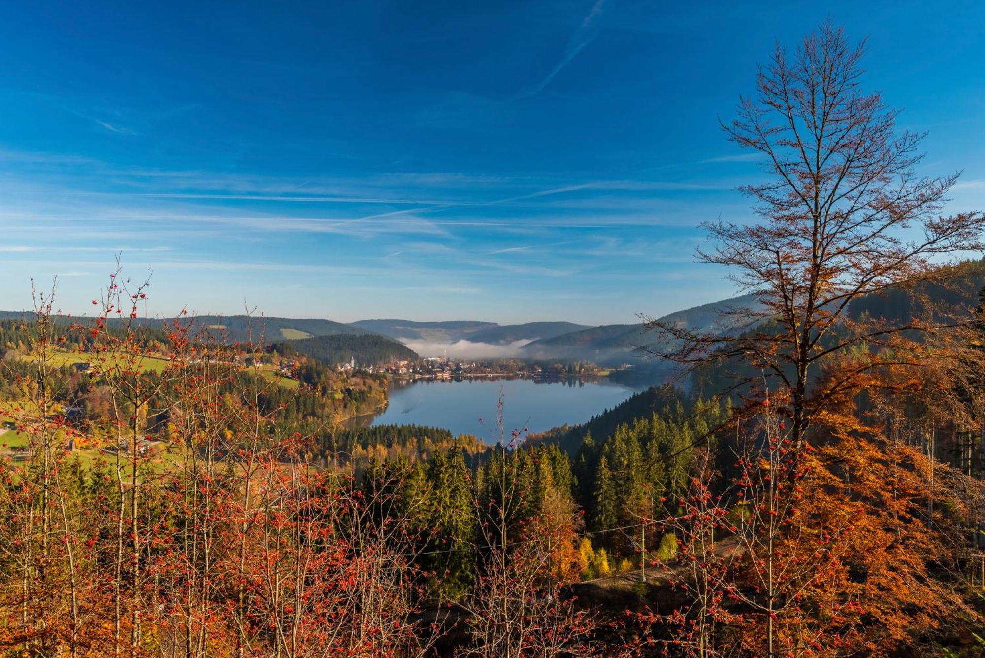 Drei Tannen - Wohnung 11 - Apartmenthaus, Titisee, Feldberg Экстерьер фото