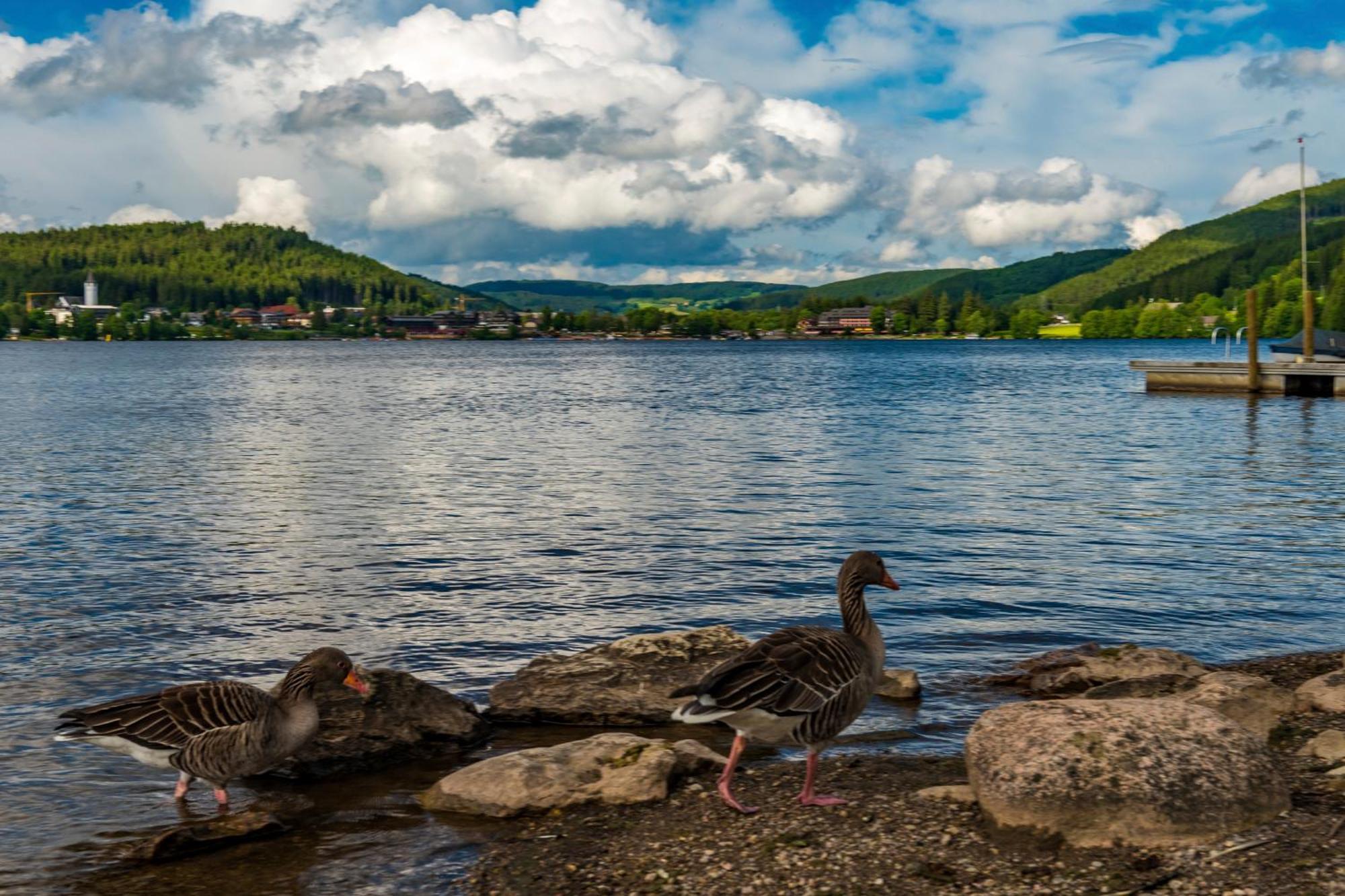 Drei Tannen - Wohnung 11 - Apartmenthaus, Titisee, Feldberg Экстерьер фото